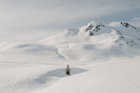 sonnige Winterlandschaft bei Dam&uuml;ls im Gro&szlig;en Walsertal