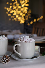 Hot chocolate and marshmallows