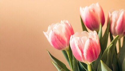 Naklejka premium Pink tulip flowers on pastel peach background. Image for a wedding, women's day or mother's day themed greeting card or invitation