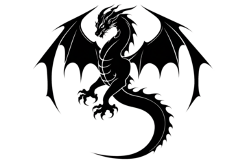 	
dragon tattoo, transparent PNG background