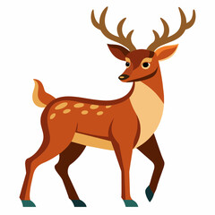 Naklejka na ściany i meble Deer, reindeer, red deer, roe, maral, fawn, doe, beast, pet, vector, illustration, draw, cartoon, pretty, cute