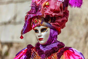Disguised Person - Annecy Venetian Carnival