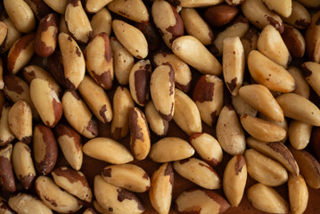 Close up brazil nuts on the table