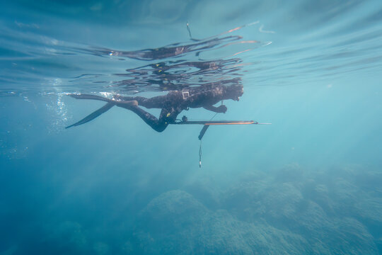 Man spearfishing in wetsuit, Mediterranean. High quality photo