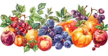 Assorted Watercolor Fruit Illustration on White Background