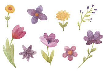 Watercolor set of spring flowers. Beautiful decorative delicate plants for cards, covers, print. Flowers are isolated on a transparent background.