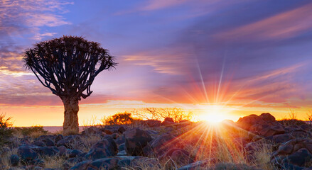 Sunrise at the Quiver Tree Forest near Keetmanshoop, Namibia