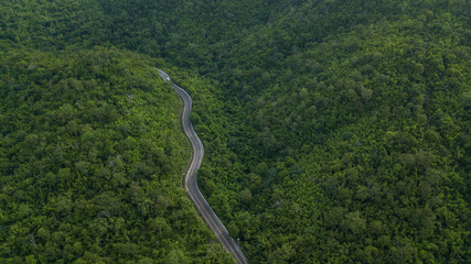Aerial view road through the green forest, Car drive going through forest, Aerial top view forest, Texture of forest view from above, Ecosystem and healthy environment concept and background.