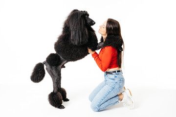 Beautiful Woman Embracing a Black Standard Poodle in a Bright Studio Setting