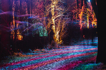 Colorfully illuminated trees in a mystical winter forest in the evening
