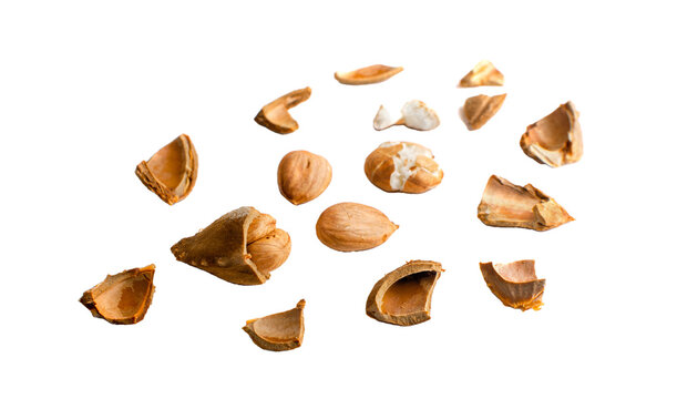  Apricot Kernels Images Browse 3 733 Stock Photos Vectors And 