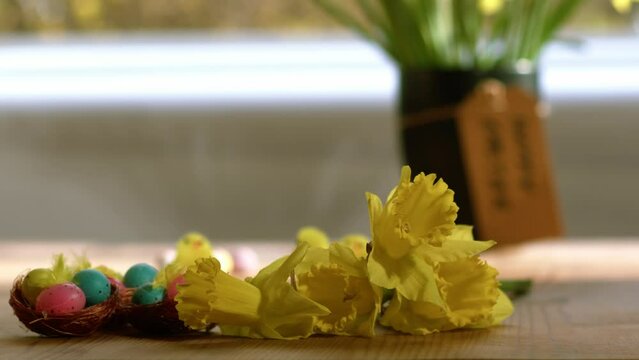 Celebrating Easter with eggs and daffodil flowers display
