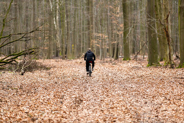 Fahrradfahrer durchfährt den Wald zur Erholung