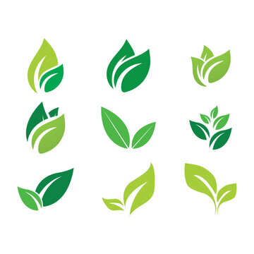 leaf ecology  logo and vector template