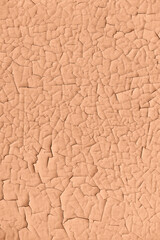 Cracked paint texture, color of the year 2024 Peach Fuzz. - 755554823