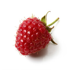 Fresh red raspberry in close-up on a white background - 755555035