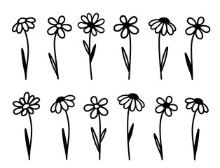 Wildflowers, summer flowers set with daisy silhouettes - 755557830