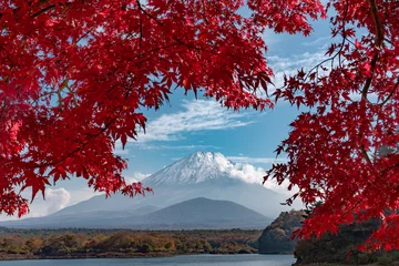 Fotobehang 紅葉と富士山 © sammy012