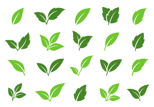 green plant leaves and branches icons
