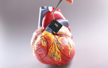 Hand inserting microchip into artificial heart mockup using tweezers closeup. Modern possibilities...