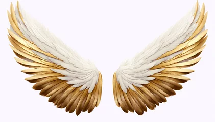 Fotobehang 3d rendering of a golden angel wings isolated on a white background © Hoody Baba