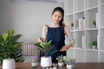A young Asian woman is enjoying planting a garden in her home to create a shady atmosphere in her home.