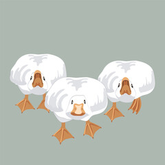 Three big angry and brave geese running and going to bite probably. Goose male birds attacking and defending the flock. Vector illustration isolated on green