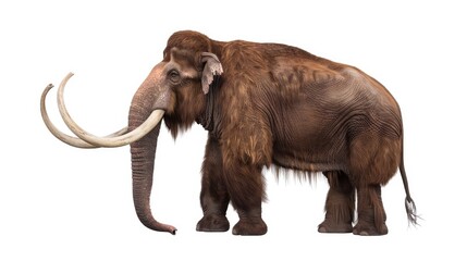 Mammoth. The concept of extinct animals	