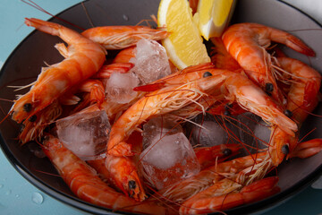 Cooked prawns on ice, with lemon, summer meal, lifestyle and cooking magazines concept