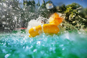 Rubber duckie's pool-time fun splash in pool at sunny weather - 755574808