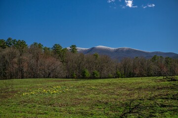 mountains