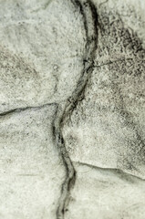 texture of a stone wall closeup