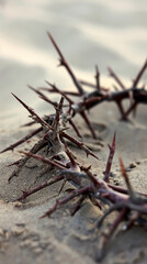 Crown of Thorns on stony sand conceptual of the crucifixion and Easter with copy space