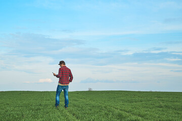 Rear view of male farmer standing in wheat seedling field and using mobile smartphone