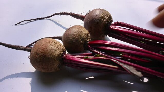 Beetroot&nbsp;is the&nbsp;taproot&nbsp;portion of a&nbsp;beet plant. Its other names &nbsp;beets,&nbsp;table beet,&nbsp;garden beet,&nbsp;red beet,&nbsp;dinner beet and &nbsp;golden beet. Its eaten boiled, roasted, raw, salad and vegetable.