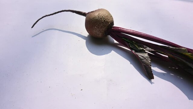 Beetroot&nbsp;is the&nbsp;taproot&nbsp;portion of a&nbsp;beet plant. Its other names &nbsp;beets,&nbsp;table beet,&nbsp;garden beet,&nbsp;red beet,&nbsp;dinner beet and &nbsp;golden beet. Its eaten boiled, roasted, raw, salad and vegetable.