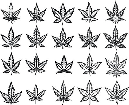 Cannabis leaf silhouette set, Cannabis vector illustration 