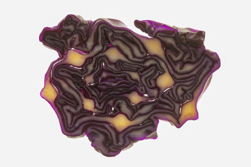 Red cabbage, highlighted cross-section of vegetable. Curved lines.