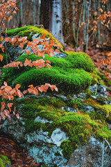 góry wałbrzyskie   Poland  nature  river  landscape  scenicview © event