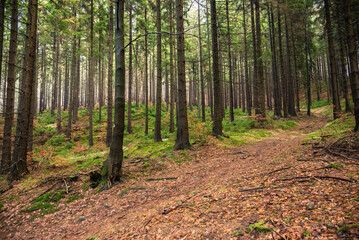 góry wałbrzyskie   Poland  nature  river  landscape  scenicview © event