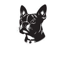 Boston Terrier silhouette, dog silhouette png, dog icon, dog logo , dog black silhouette