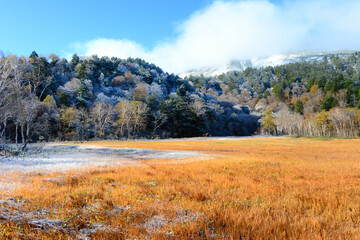 初雪の尾瀬ヶ原