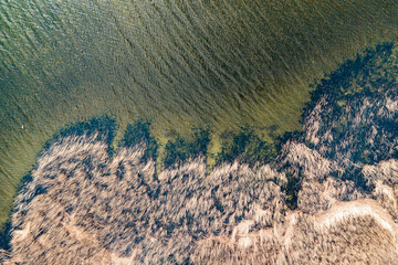 Landscape with a drone on the lake and thickets.