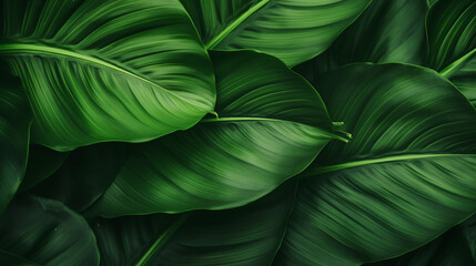 Abstract green leaf texture