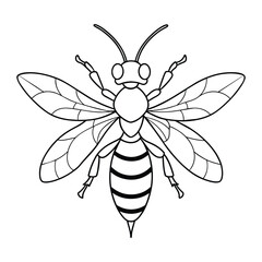 Wasp illustration coloring page for kids