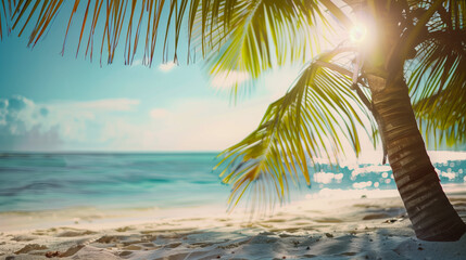 Fototapeta na wymiar Palm tree on a beautiful white sand beach; travel memories
