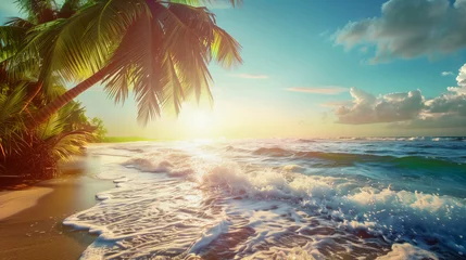 Poster Palm tree on a beautiful white sand beach  travel memories © Petruta