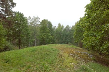 Fototapeta na wymiar Landscape view of forest in cloudy autumn weather, Paloniemi, Lohja, Finland.