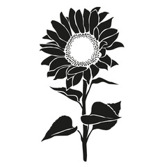 Sunflower flower silhouette isolated on white background, vector floral illustration