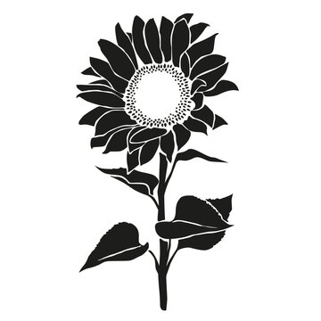 recommend clip art: Sunflower flower silhouette isolated on white background, vector floral illustration